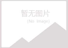 铁山港区心疼建筑有限公司